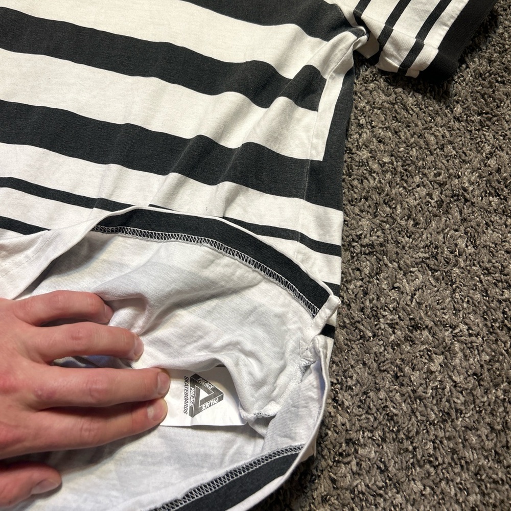 Palace Polo - Picture 5 of 6